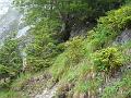 AUS02062009 (56)
